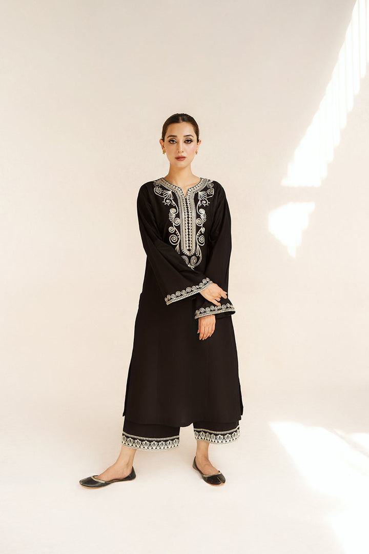 Winter - Dastaan - 2Pc Embroidered Dress