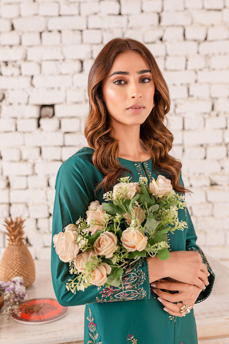 Winter - Eyana - 2Pc Embroidered Dress