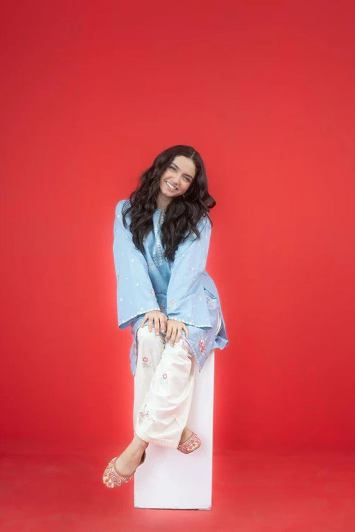 Winter - Gulbahar - 2Pc Embroidered Dress