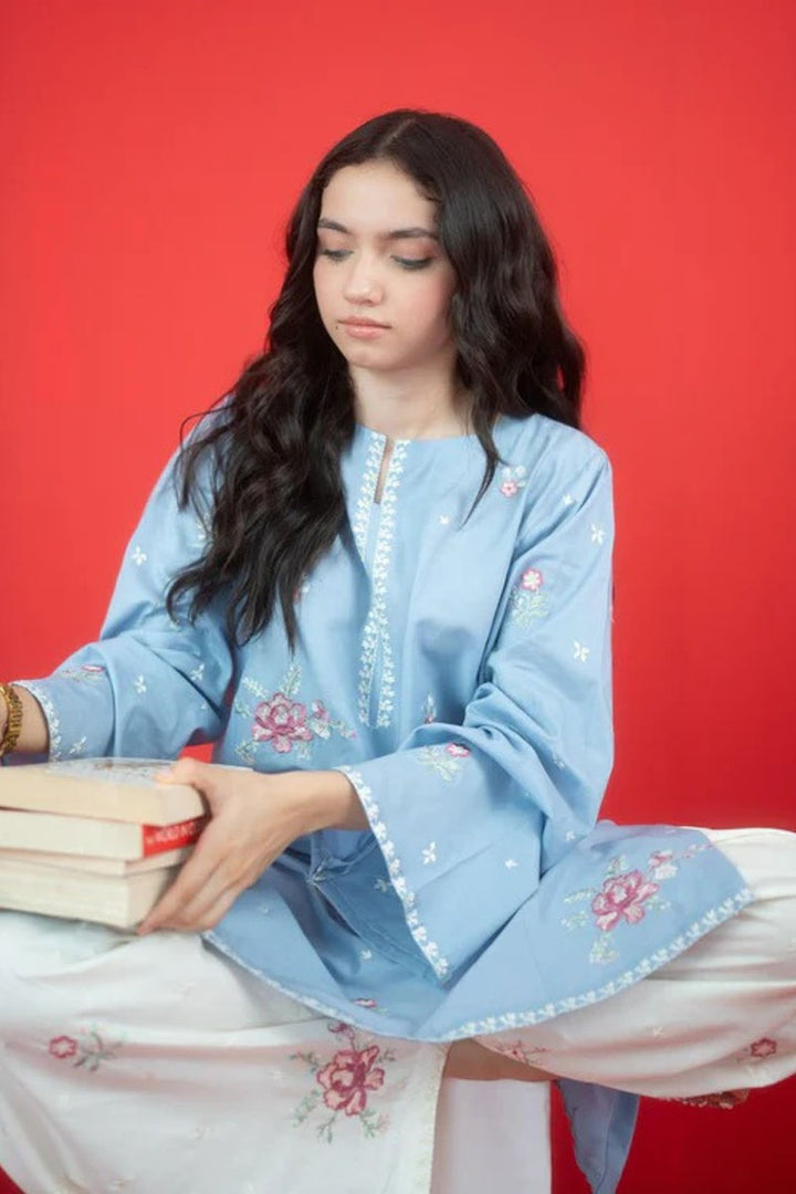 Winter - Gulbahar - 2Pc Embroidered Dress