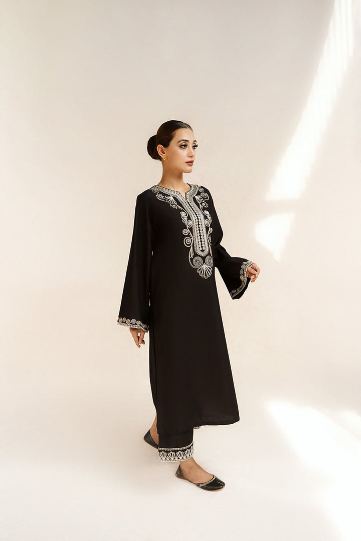 Winter - Noir - 2Pc Embroidered Dress