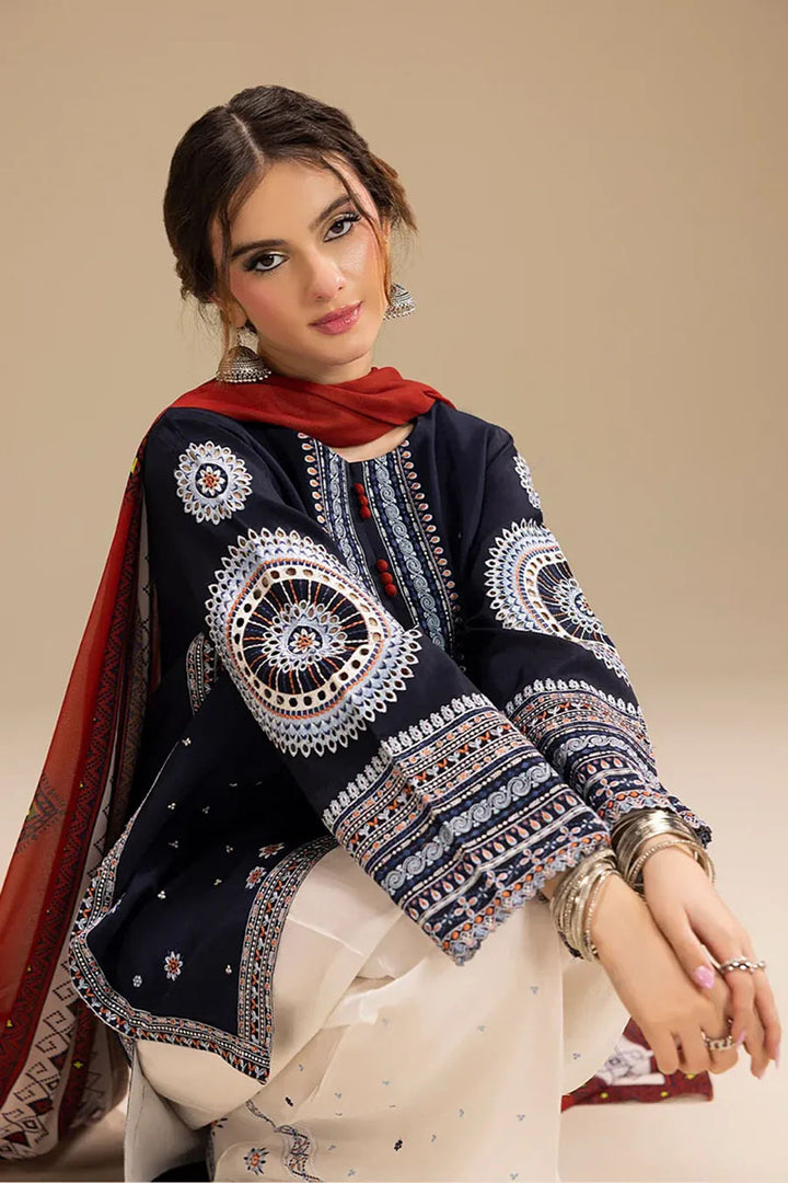 Winter - Rangrez - 3Pc Printed Dress