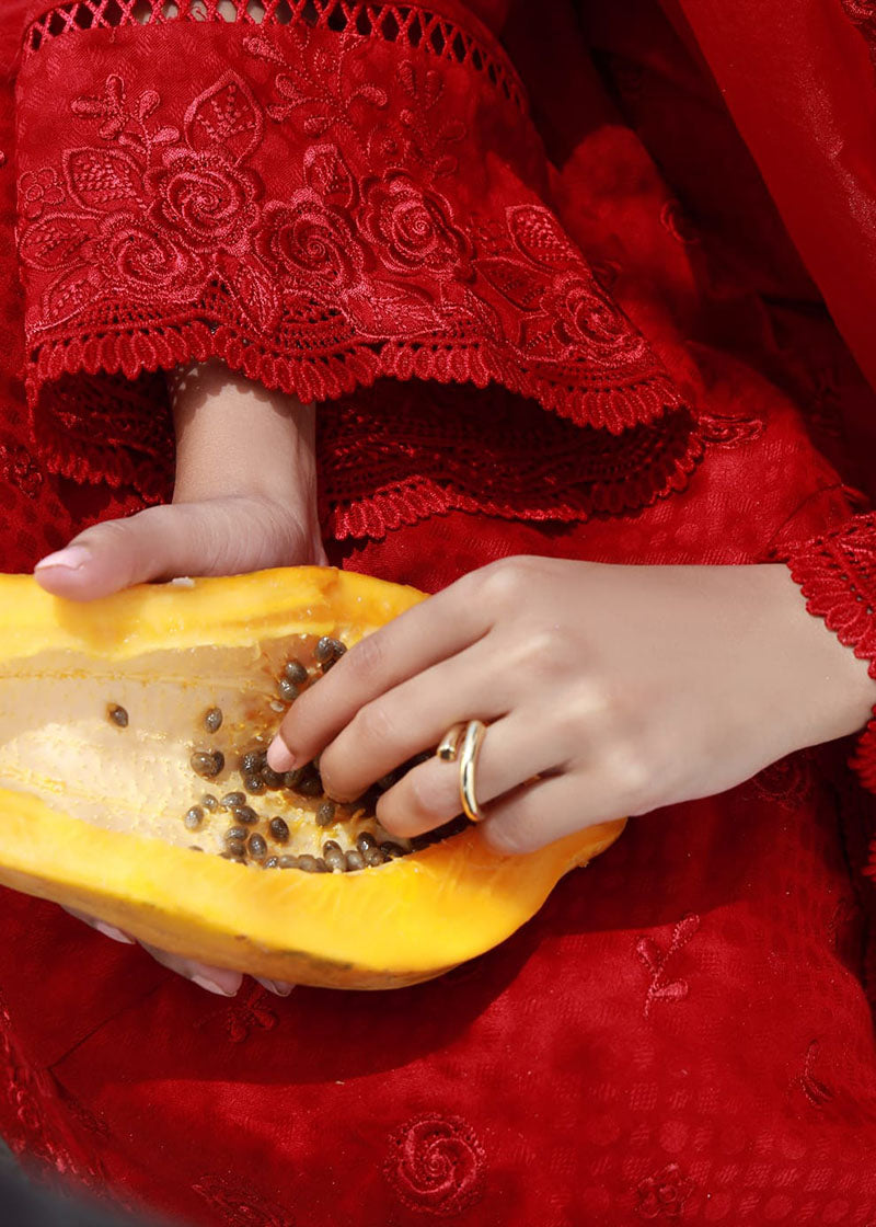 Winter - Red Luxury - 3Pc Embroidered Dress