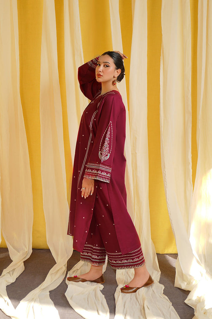 Winter - Shafaq - 2Pc Embroidered Dress