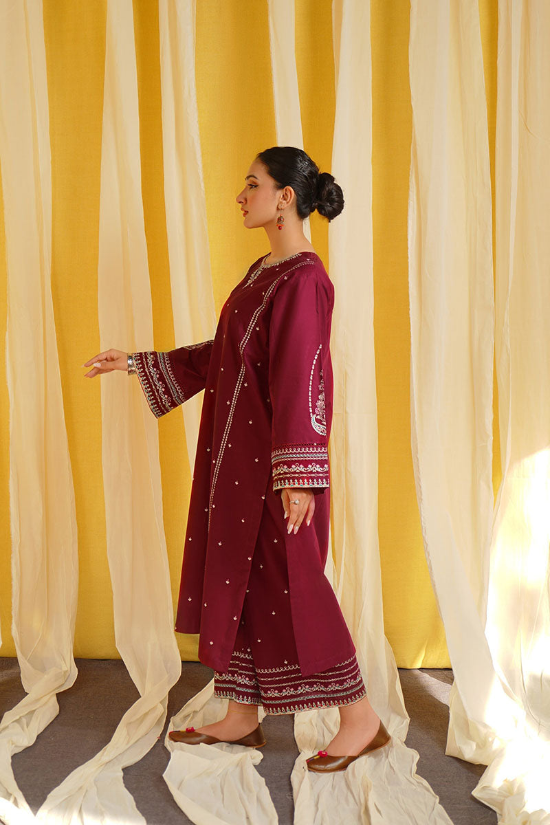 Winter - Shafaq - 2Pc Embroidered Dress