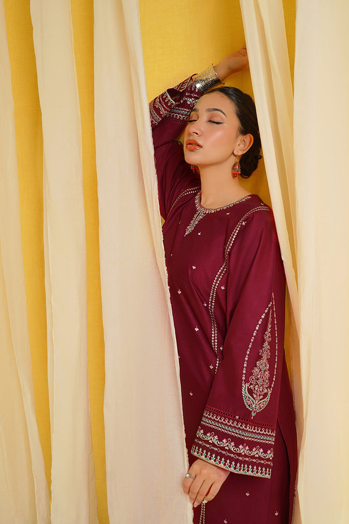 Winter - Shafaq - 2Pc Embroidered Dress