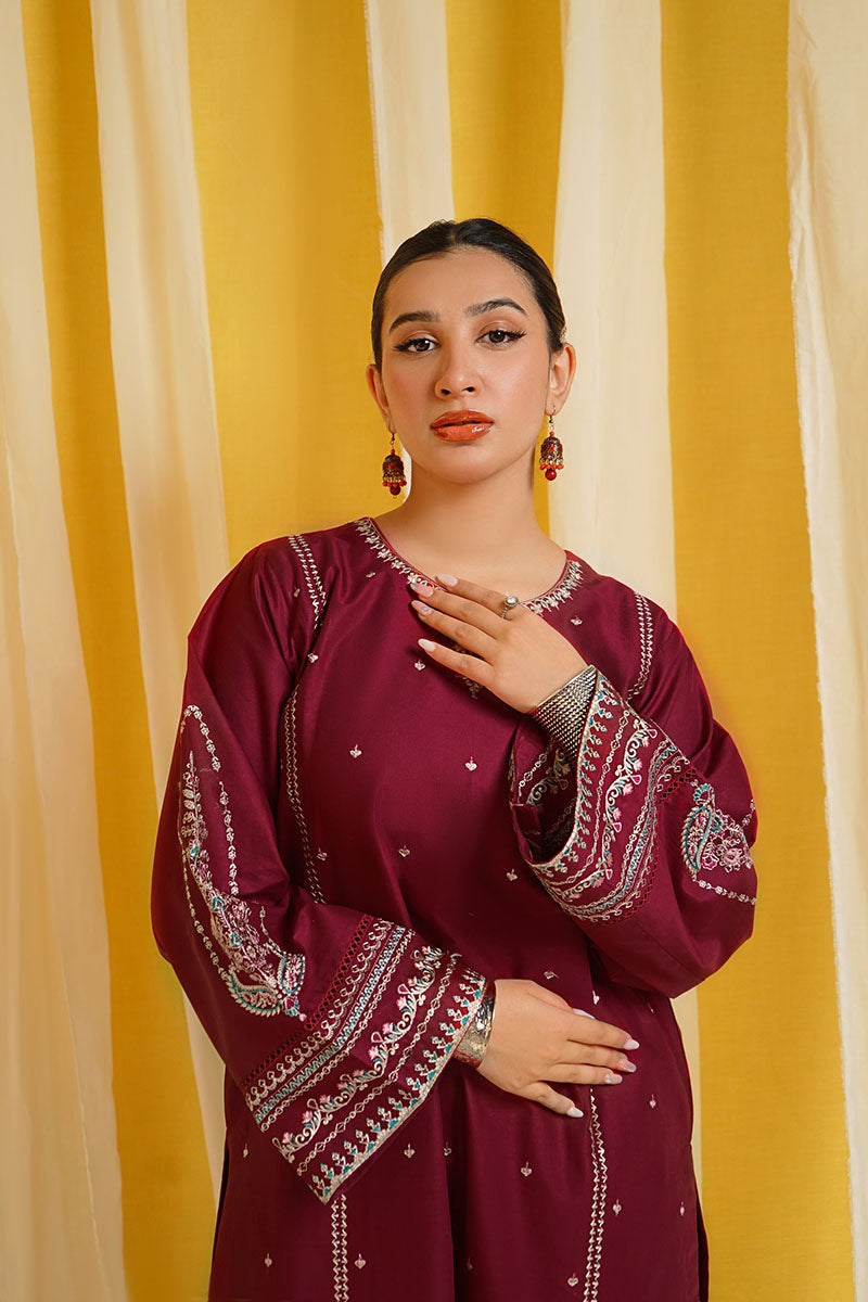 Winter - Shafaq - 2Pc Embroidered Dress