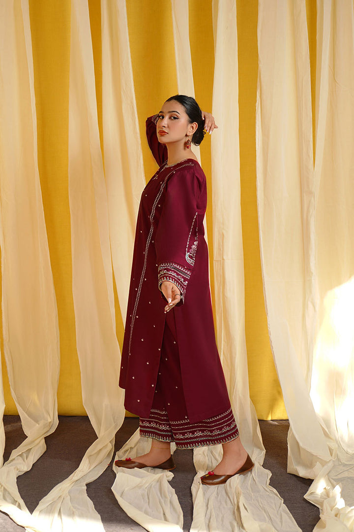 Winter - Shafaq - 2Pc Embroidered Dress